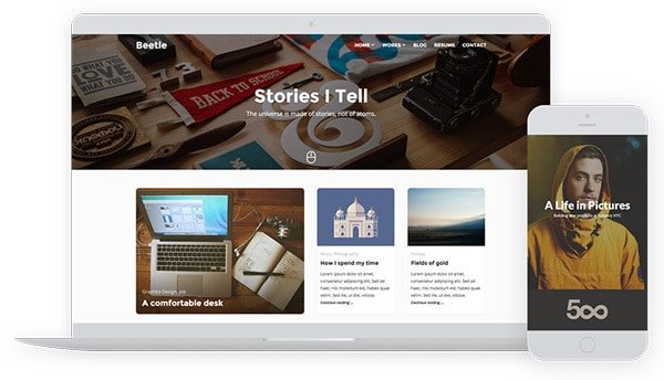 Freebie: BeetleGo - download free WordPress Theme for designers