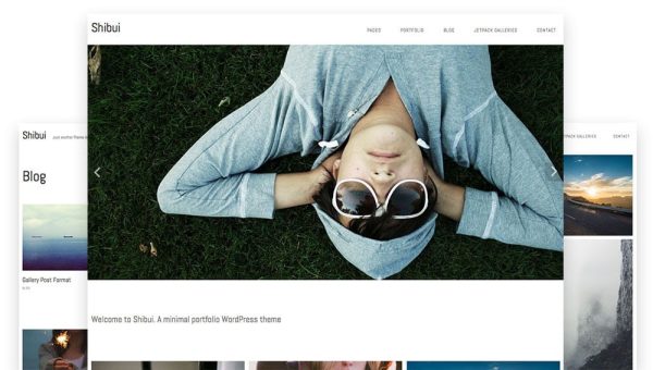 Shibui: free portfolio WordPress theme