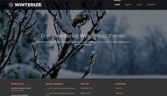 Winterize: free WordPress theme